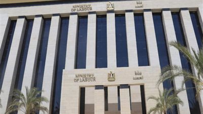 7376 فرصة عمل في 75 شركة داخل 15 محافظة