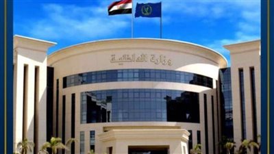 الأمن يضبط 127 سلاحًا ناريًا و224 قضية مخدرات وينفذ 58 ألف حكم قضائي في 24 ساعة