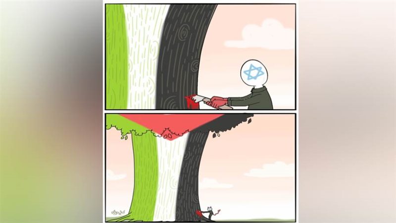 ريشة - أماني هاشم