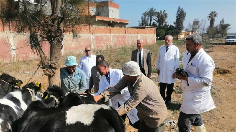 الأحد القادم.. إنطلاق