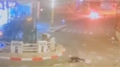 إصابة 3 شبان برصاص الاحتلال خلال اقتحامها لمدينة الظاهرية