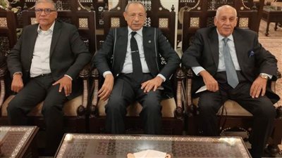 رئيس الحركة الوطنية: ندعم السيسي للحفاظ على مكتسبات تحفظ للوطن أمنه واستقراره