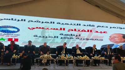 عمارة: الرئيس السيسي تصدى لصفقة القرن ويستحق رد الجميل