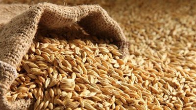 عاجل| ازرع صح.. معاملات 