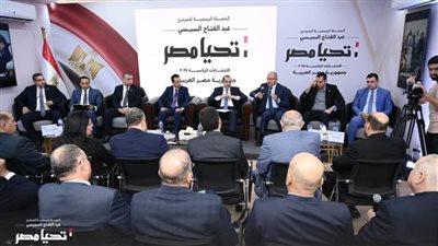 الحملة الرسمية للمرشح الرئاسي عبدالفتاح السيسي تستقبل وفداً من حزب حماة الوطن