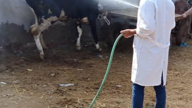 علاج 53 ألف و 579