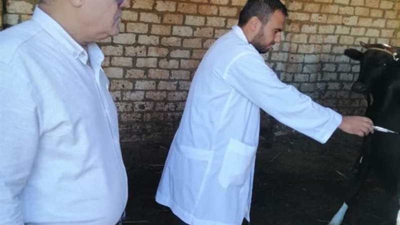 انطلاق الحملة القومية