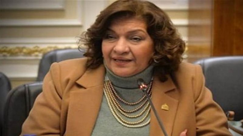 النائبة ايفلين متى