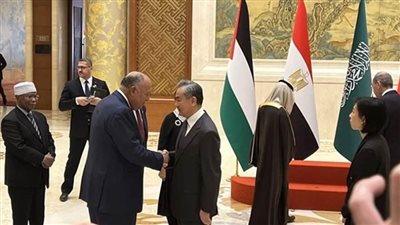 عاجل| حملة طرق أبواب عربية إسلامية للدول دائمة العضوية في مجلس الأمن 