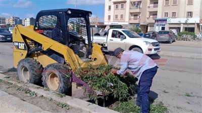 رفع 140 طن مخلفات قمامة من مدينة بلطيم في كفر الشيخ 