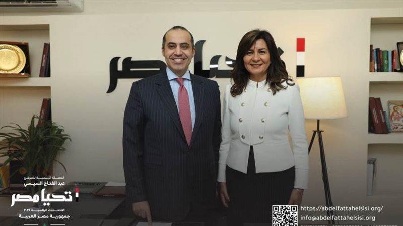 المستشار محمود فوزي