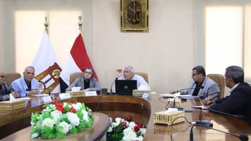 محافظ الوادي الجديد