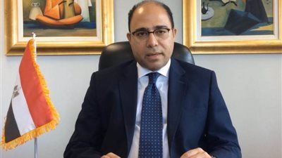 متحدث الخارجية: مشروع قرار مصري يطالب بآلية لإدخال المساعدات إلى غزة 