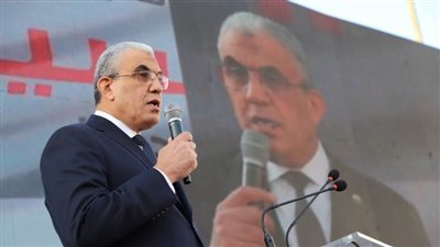 250 ألف عامل بالمالية والضرائب والجمارك يشيدون بجهود السيسي في إعلان الهدنة بـ