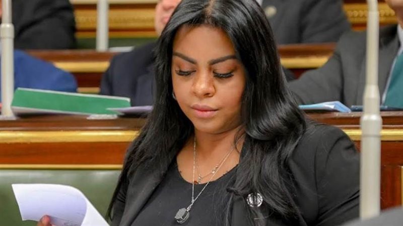 النائبة نفين حمدي