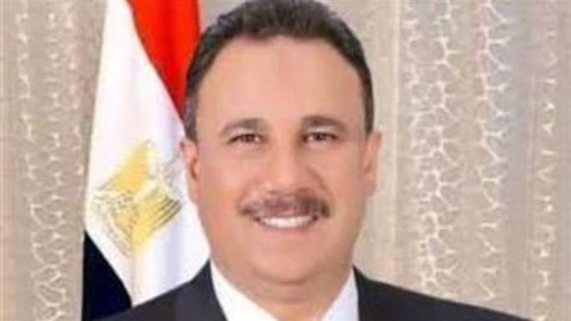 النائب وليد فتحي