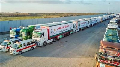 مصر تواصل جهودها لإيصال المساعدات الإنسانية إلى غزة
