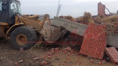 إزالة التعديات على الأراضي الزراعية بسيدي سالم في كفر الشيخ