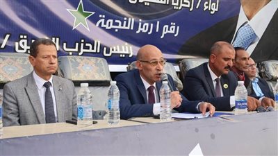 حماة الوطن ينظم مؤتمرًا حاشدًا بالمنيا لدعم المرشح الرئاسي عبد الفتاح السيسي.. صور