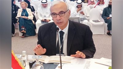 علي حسن: رفض الرئيس التهجير القسري للفلسطينيين لاقى اقتناعًا وتأييدًا دوليًا كبيرًا