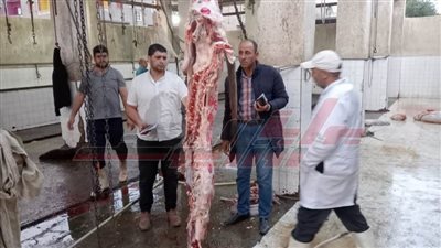 تكثيف الحملات اليومية لضبط الأسواق وتوفير السلع بكفر الشيخ