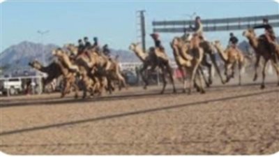 عاجل.. إشهار أول ناديين لـ