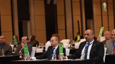 انضمام الفنون القتالية المختلطة «MMA» إلى الأوكسا 