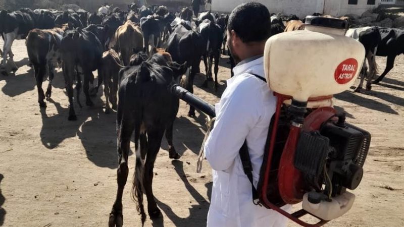 تحصين 105 ألف رأس