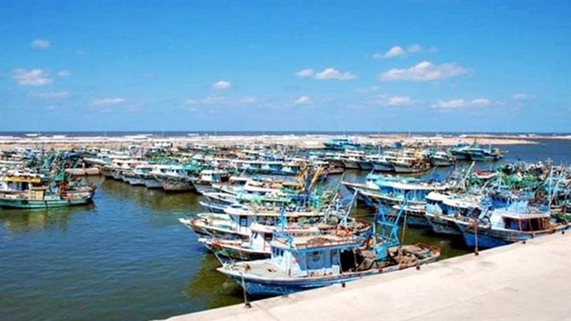 ميناء البرلس