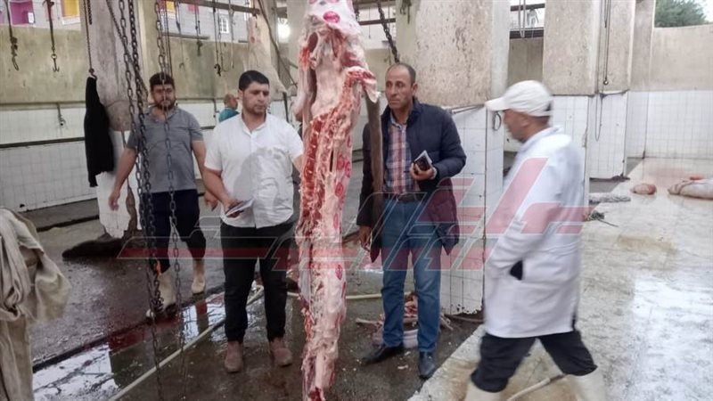 الحملات الرقابة