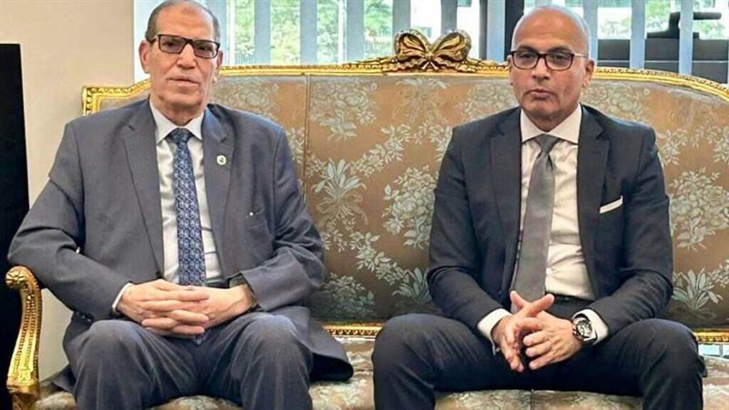 النيابة الإدارية