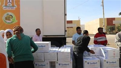 انطلاق قافلة الإغاثة من الوادي الجديد إلى الأشقاء في غزة 