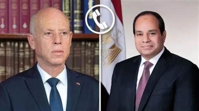 السيسي ونظيره التونسي يؤكدان أهمية السعي لتحقيق التسوية العادلة والشاملة للقضية الفلسطينية
