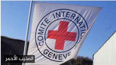 القاهرة الإخبارية: الوفد الأمنى المصرى لقطاع غزة تحرك لاستلام 10 محتجزين إسرائيليين و 4 تايلانديين من الصليب الأحمر