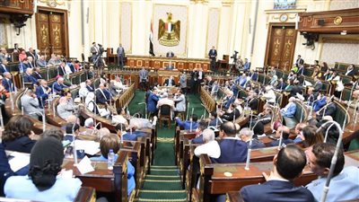 برلماني: المصريون بالخارج سيردون الجميل للرئيس السيسي