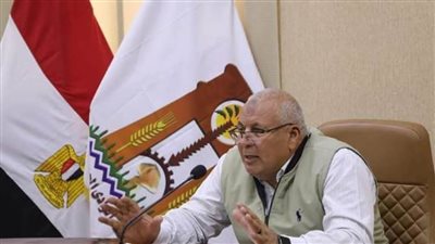 5 لجان عامة و82 فرعية.. لاستقبال الناخبين بالوادي الجديد