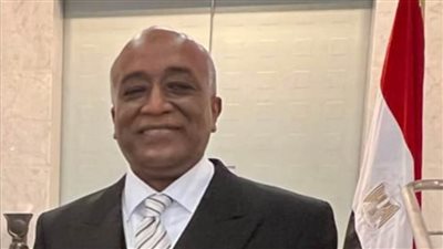 عاجل.. السفير محمد أبوبكر: التصويت في طوكيو بدأ 2 صباحًا بتوقيت القاهرة 