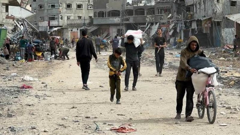 بوابة روز اليوسف