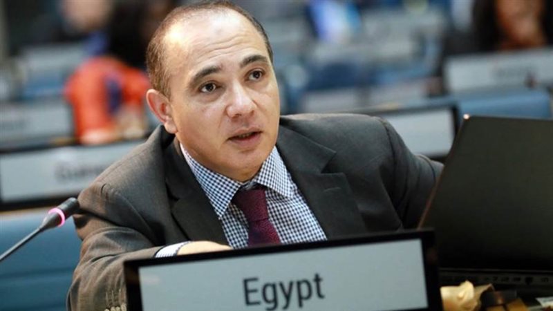 السفير وائل نصر الدين