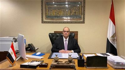 سفير مصر بمدريد: العملية الانتخابية تسير بوتيرة جيدة.. ونتوقع زيادة توافد الناخبين