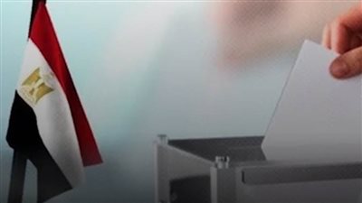 قبل انطلاق الانتخابات الرئاسية ٢٠٢٤ .. إليكم طرق التصويت الصحيحة