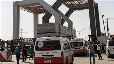 ٧٩ مريضا سرطان يصلون مصر لتلقي العلاج