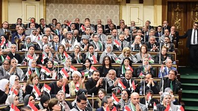 لجنة الشؤون العربية بالنواب تنتقد عودة القصف الجنوني الإسرائيلي ضد الفلسطينيين