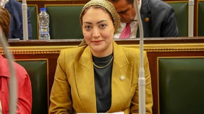 الجمال: مشاركة المصريين في الخارج بانتخابات الرئاسة تعكس صورة مصر الحضارية