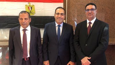 رئيس شباب الخارج من دبي: إقبال كثيف على التصويت من الجالية بالإمارات