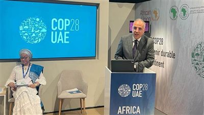 وزير الري يشارك في جلسة 