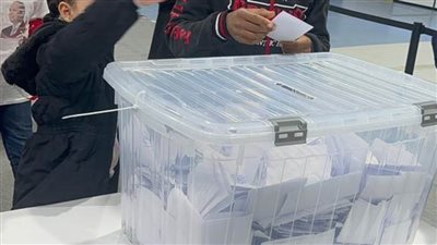 الجالية المصرية بالكويت تنظم وقفة لدعم المرشح الرئاسي عبدالفتاح السيسي