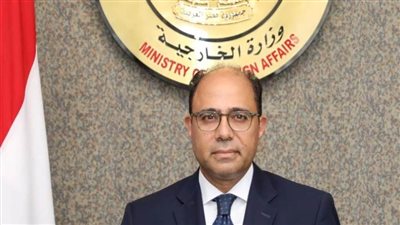 الخارجية: نتابع سير العملية الانتخابية باللجان الفرعية في الخارج