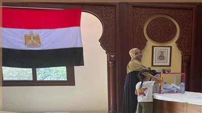 السفارة المصرية في نيجيريا تواصل استقبال الناخبين 