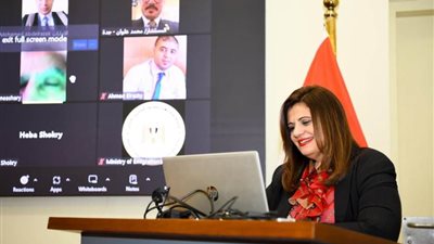 عاجل.. عمليات “الهجرة” تواصل متابعة تصويت المصريين بالخارج في اليوم الثالث والأخير